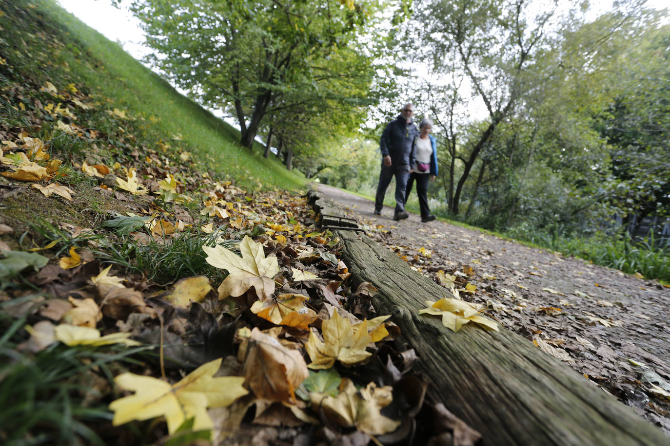 Las mejores instantáneas de este otoño que comienza han sido captadas por los fotógrafos: Mario Rojas, Pablo Lorenzana, Juan Carlos Román, Omar Antuña, Paloma Ucha, Juan Carlos Tuero y Xuan Cueto.
