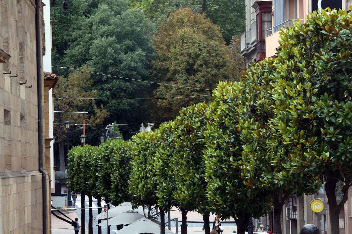 Las mejores instantáneas de este otoño que comienza han sido captadas por los fotógrafos: Mario Rojas, Pablo Lorenzana, Juan Carlos Román, Omar Antuña, Paloma Ucha, Juan Carlos Tuero y Xuan Cueto.