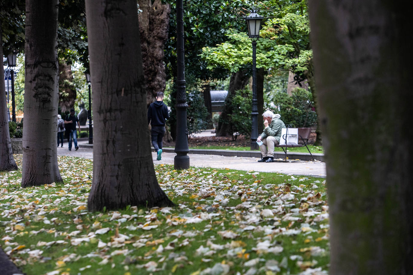 Las mejores instantáneas de este otoño que comienza han sido captadas por los fotógrafos: Mario Rojas, Pablo Lorenzana, Juan Carlos Román, Omar Antuña, Paloma Ucha, Juan Carlos Tuero y Xuan Cueto.