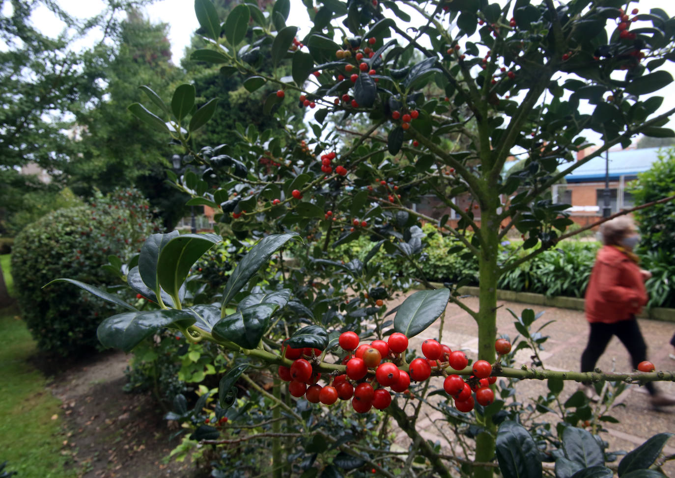 Las mejores instantáneas de este otoño que comienza han sido captadas por los fotógrafos: Mario Rojas, Pablo Lorenzana, Juan Carlos Román, Omar Antuña, Paloma Ucha, Juan Carlos Tuero y Xuan Cueto.