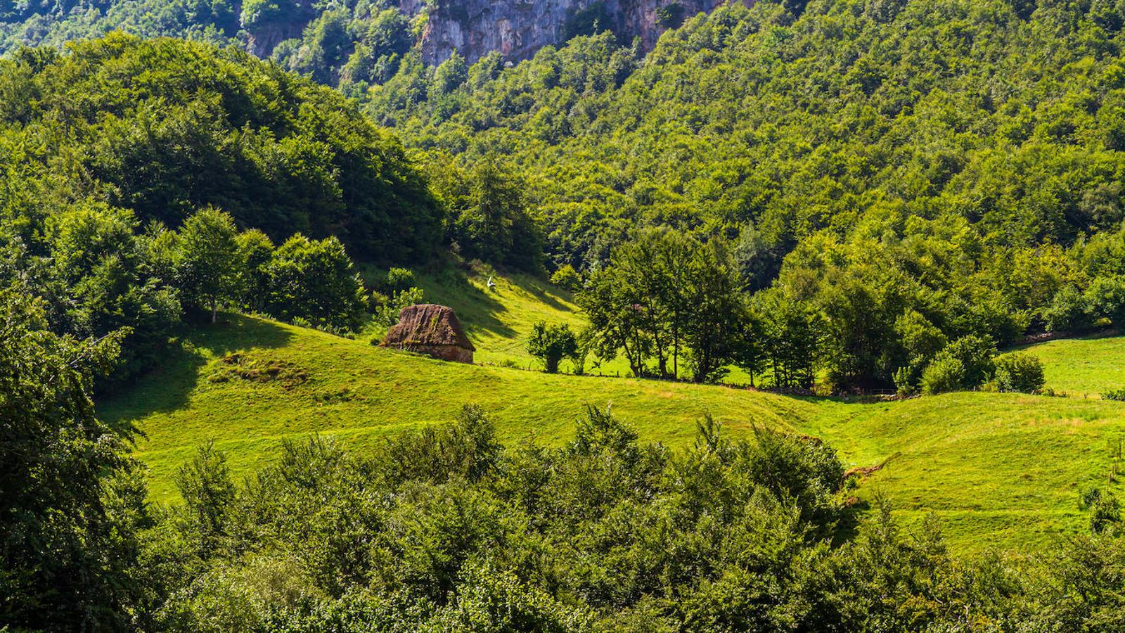 Hayedos de Somiedo: Ubicado en Somiedo, el espacio natural más importante de Asturias, declarado parque natural en 1988 y considerado reserva de la biosfera en el 2000. Y todo esto no es solo por la gran belleza de su paisaje conocida a nivel nacional, sino también porque es uno de los santuarios del oso pardo, además de otras especies y de una gran cantidad de flora. Aunque se encuentra formado por varios valles, todos ellos tienen un elemento común: sus frondosos y coloridos hayedos, sobre todo en Otoño. Todo un espectáculo para la vista en esta estación, que contrasta a la perfección con las formaciones montañosas que los acompañan.