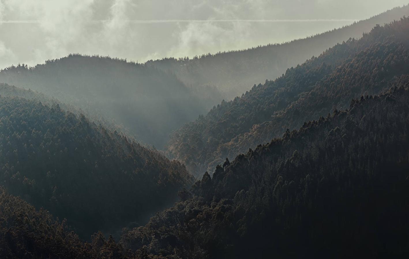 Bosques de Taramundi: Se encuentras en otra de las reservas de la biosfera de Asturias y concretamente en la zona occidental. Una reserva con numerosas rutas con las que poder disfrutar de la naturaleza, entre ellas una de las más espectaculares y conocidas es la ruta de Agua. Un precioso recorrido de poco más de 13 km, en el que podrás disfrutar de frondosos bosques repletos de castaños y robles, acompañados de preciosas cascadas que hacen de este un paisaje aún más idílico.