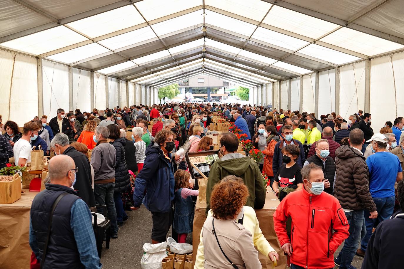 65 puestos de toda Asturias se han dado cita en Piloña para una nueva edición del Festival de la Avellena. Se han vendido más de tres toneladas del fruto.