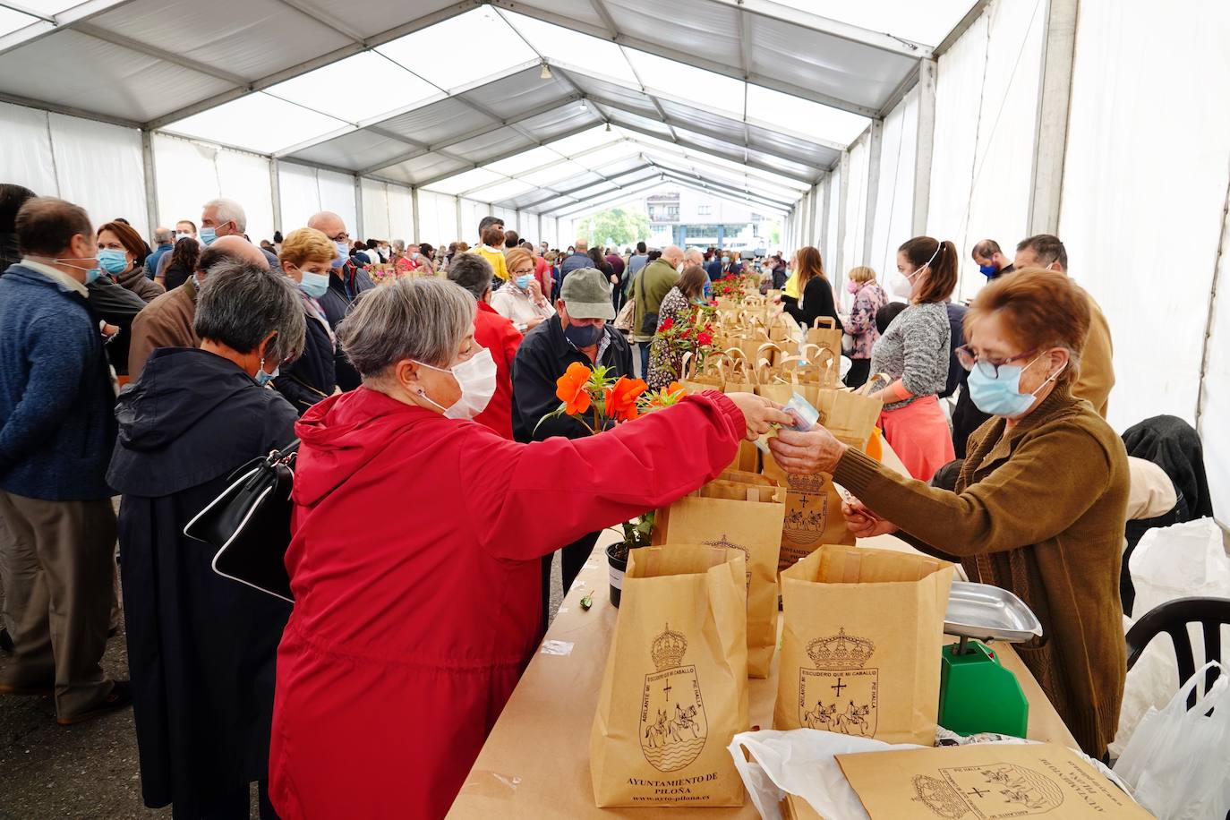 65 puestos de toda Asturias se han dado cita en Piloña para una nueva edición del Festival de la Avellena. Se han vendido más de tres toneladas del fruto.
