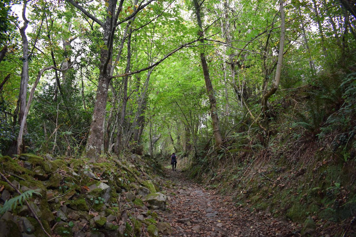 Fotos: Ruta del valle de Ponga