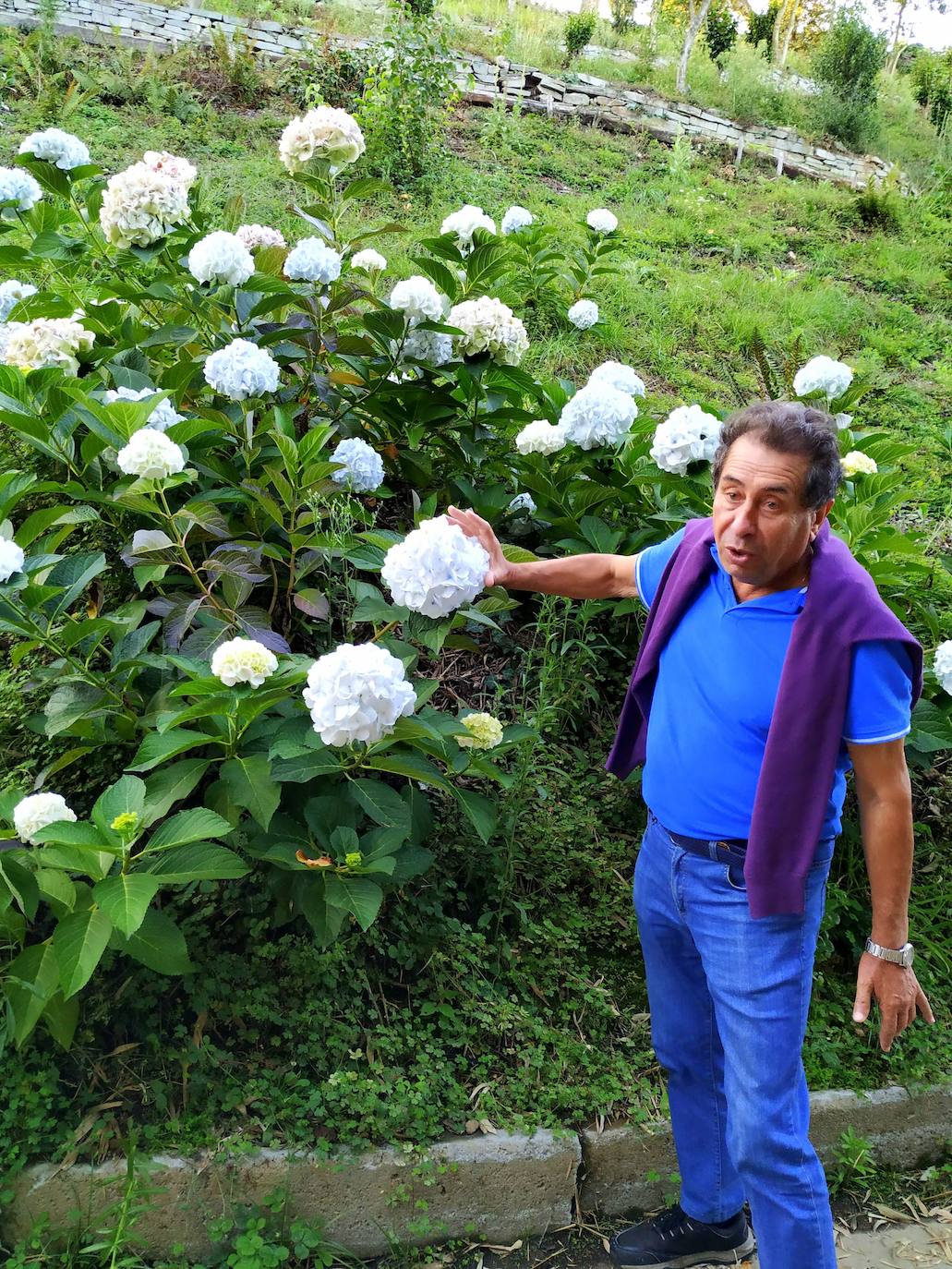 El origen de este bosque-jardín se remonta a hace 27 años, cuando José Rivera Larraya, marqués de San Nicolás de Noras, y su mujer Rosa María Pardo de Unceta, fueron comprando 58 fincas a 38 propietarios diferentes para hacer el mayor jardín botánico privado de Europa con cerca de 20 hectáreas.