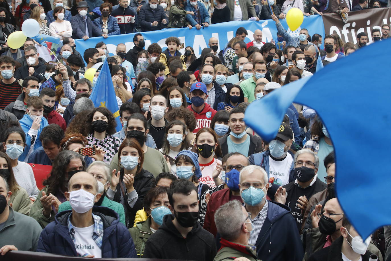 Miles de personas recorren el centro de Oviedo en la concentración por la oficialidad de la llingua. 