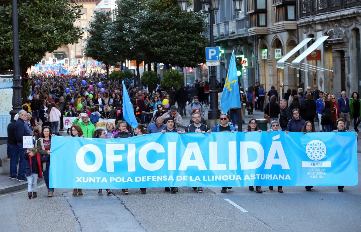 Una de las últimas manifestaciones por la oficialidad. 