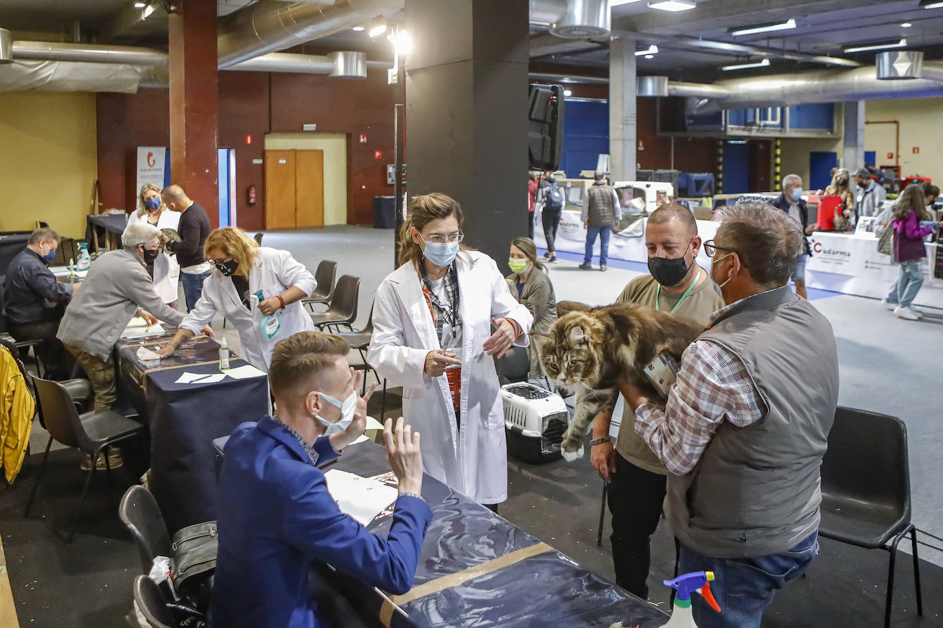 Los amantes de los animales tienen una cita este fin de semana en Gijón, donde se celebra Espacio Mascotas. Talleres, exposiciones, concursos y diversos servicios para el cuidado de las mascotas son algunos de los atractivos de estas cita. 