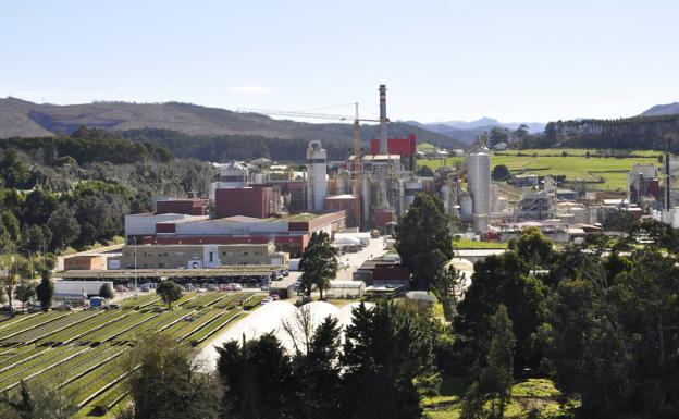 Biofábrica de Ence, en Navia