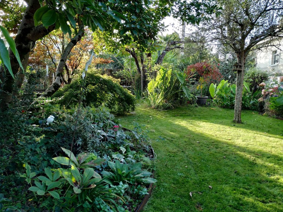 El pequeño jardín botánico de 550 m2 que la farmacéutica Cruz Tolosa y su marido Carlos García han desarrollado desde 1999. En la imagen, vista del jardín desde el parterre de acidófilas, al fondo una pequeña agrupación de arces japónicos y alocasias bordeando el estanque