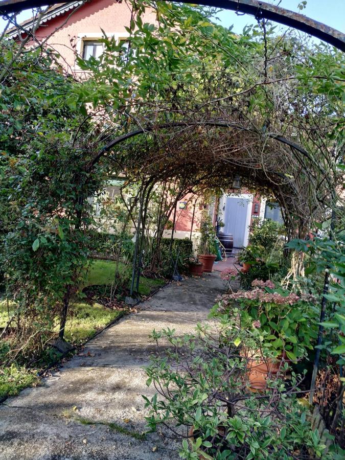 Rosales rambler trepando por los arcos metálicos del pasillo central que une la casa y el jardín. 