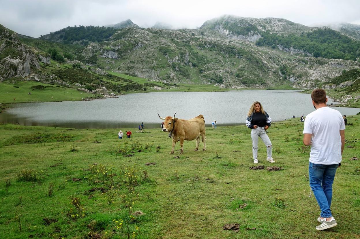 Los turistas se toman fotos en los Lagos de Covadonga este verano. 