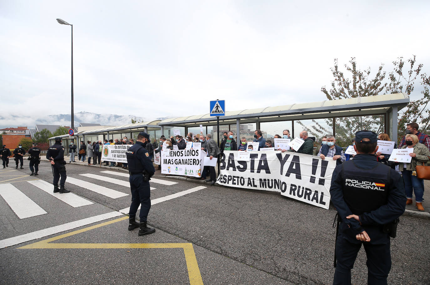 Sindicatos agrarios de Asturias se han concentrado este viernes frente a la Facultad de Derecho de la Universidad de Oviedo, donde iba a participar en un acto el secretario de Estado de Medio Ambiente, Hugo Morán. Un centenar de profesionales del sector agrario han increpado a Morán al grito de «traidor» por la inclusión del lobo en el Listado Oficial de Especies en Régimen de Protección Especial (Lespre). Finalmente, el secretario de Estado ha accedido a reunirse con ellos y cumplir así con una de las reivindicaciones del sector: el ser escuchados. 