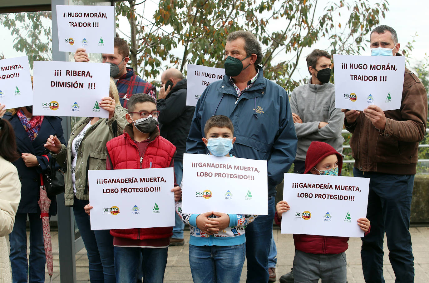 Sindicatos agrarios de Asturias se han concentrado este viernes frente a la Facultad de Derecho de la Universidad de Oviedo, donde iba a participar en un acto el secretario de Estado de Medio Ambiente, Hugo Morán. Un centenar de profesionales del sector agrario han increpado a Morán al grito de «traidor» por la inclusión del lobo en el Listado Oficial de Especies en Régimen de Protección Especial (Lespre). Finalmente, el secretario de Estado ha accedido a reunirse con ellos y cumplir así con una de las reivindicaciones del sector: el ser escuchados. 