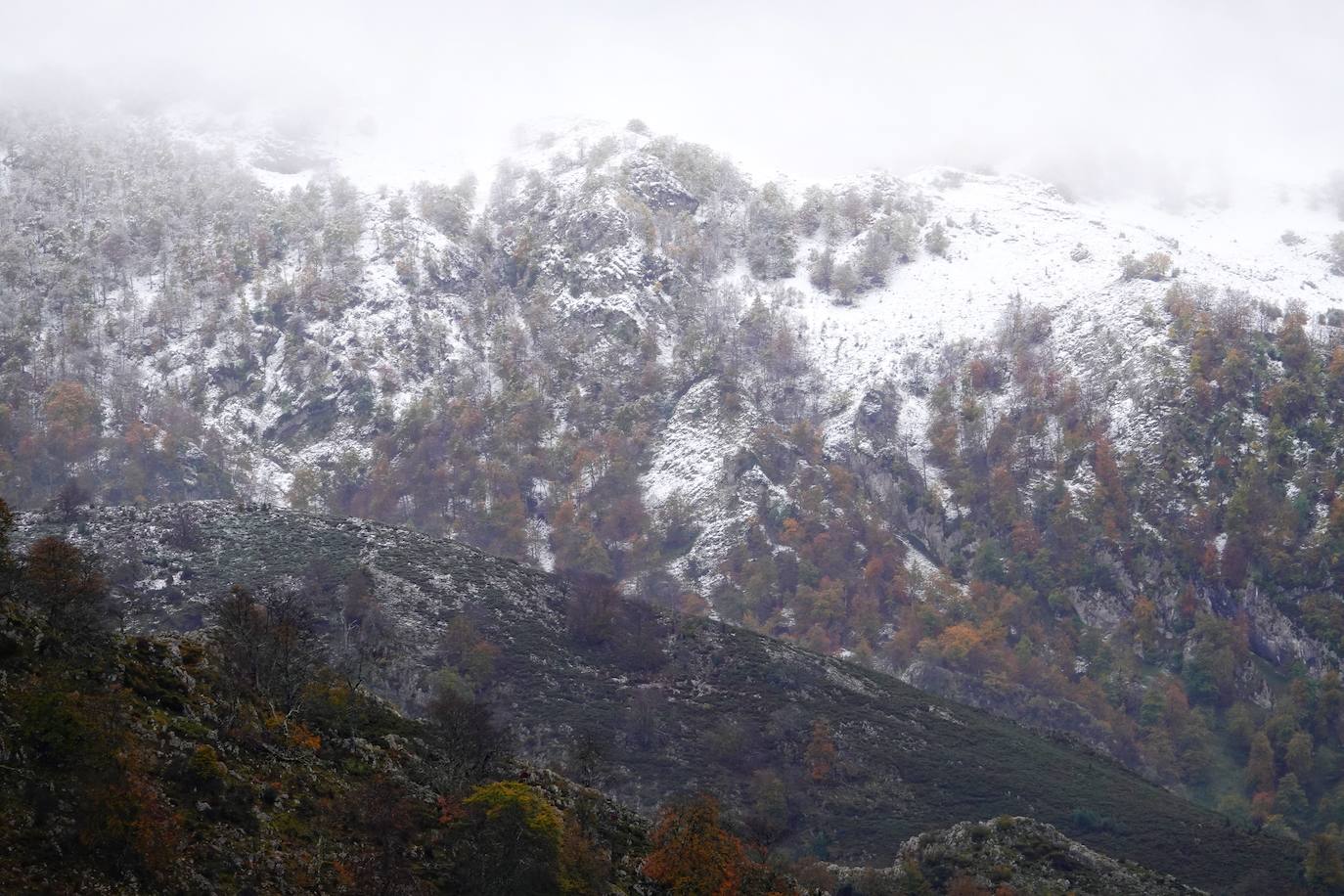 Fotos: Asturias, bajo la nieve