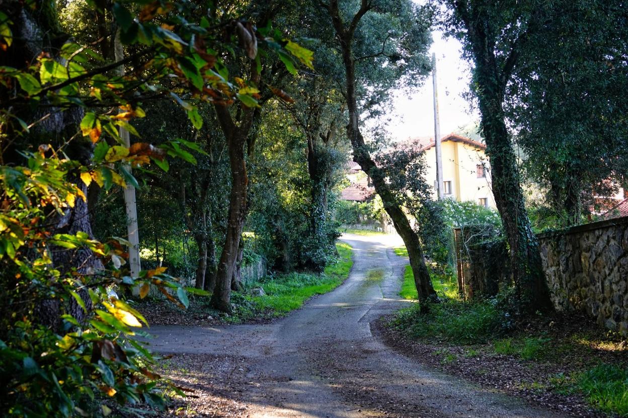 Camino de Belmonte de Pría donde fue asesinado Javier Ardines. 