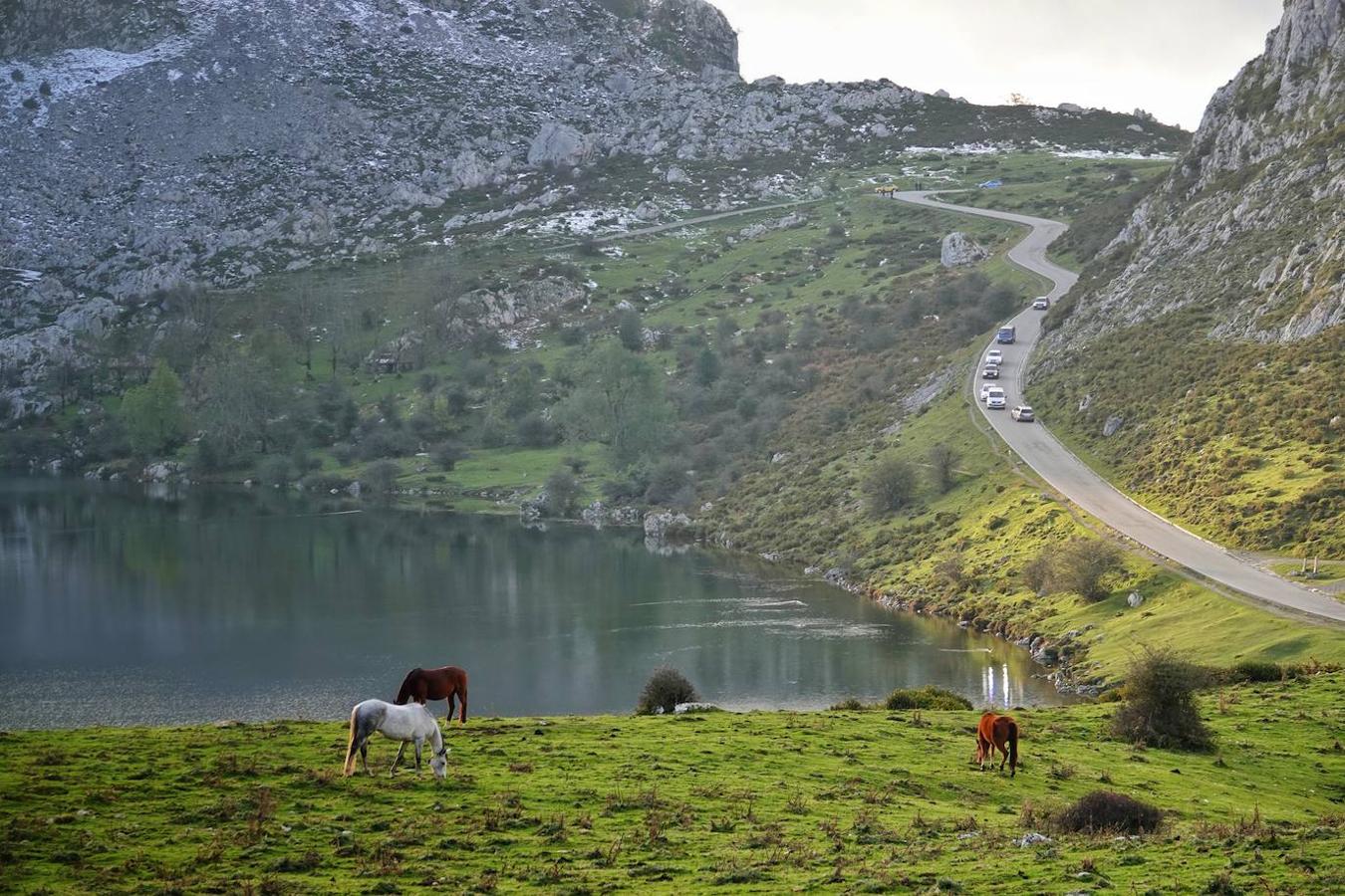 Con las primeras nieves, la zona de los Lagos de Covadonga ofrece un impresionante espectáculo este fin de semana. Así lo reflejan las imágenes captadas por el fotógrafo Xuan Cueto