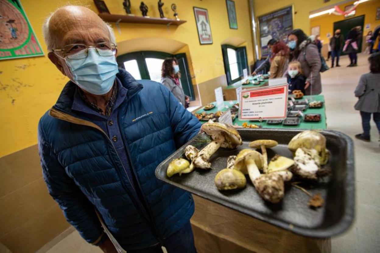 Anton io Sánchez posa junto a varias Amanita Phalloides, una variedad muy venenosa . 