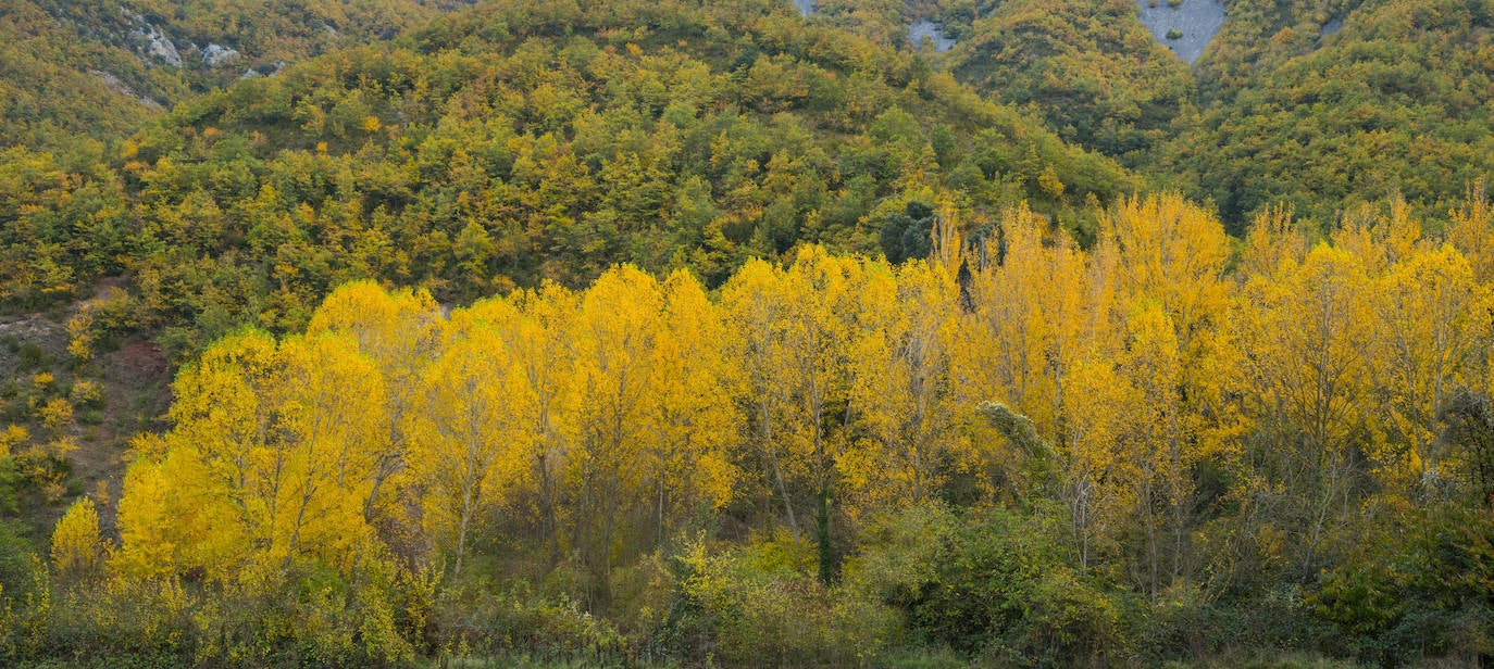 Cameros, La Rioja