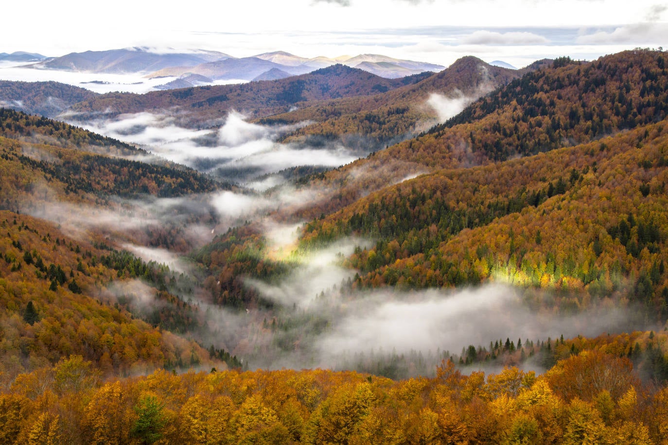 Selva de Irati, Navarra.