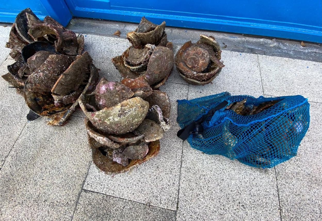 Parte del material arqueológico extraído por los ribadenses. 