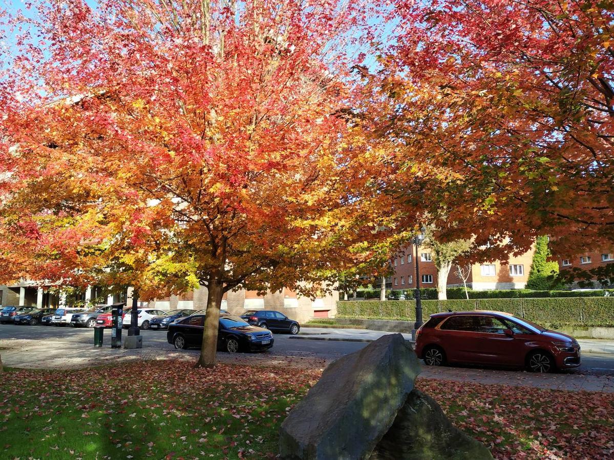 Este jardín es un excelente muestrario segmentado en pequeños espacios verdes personalizados por los árboles que los integran y por las muestras de estratos rocosos de los diferentes periodos de la historia geológica de Oviedo.