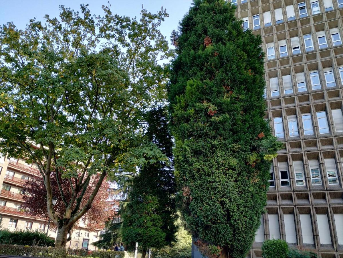 Este jardín es un excelente muestrario segmentado en pequeños espacios verdes personalizados por los árboles que los integran y por las muestras de estratos rocosos de los diferentes periodos de la historia geológica de Oviedo.