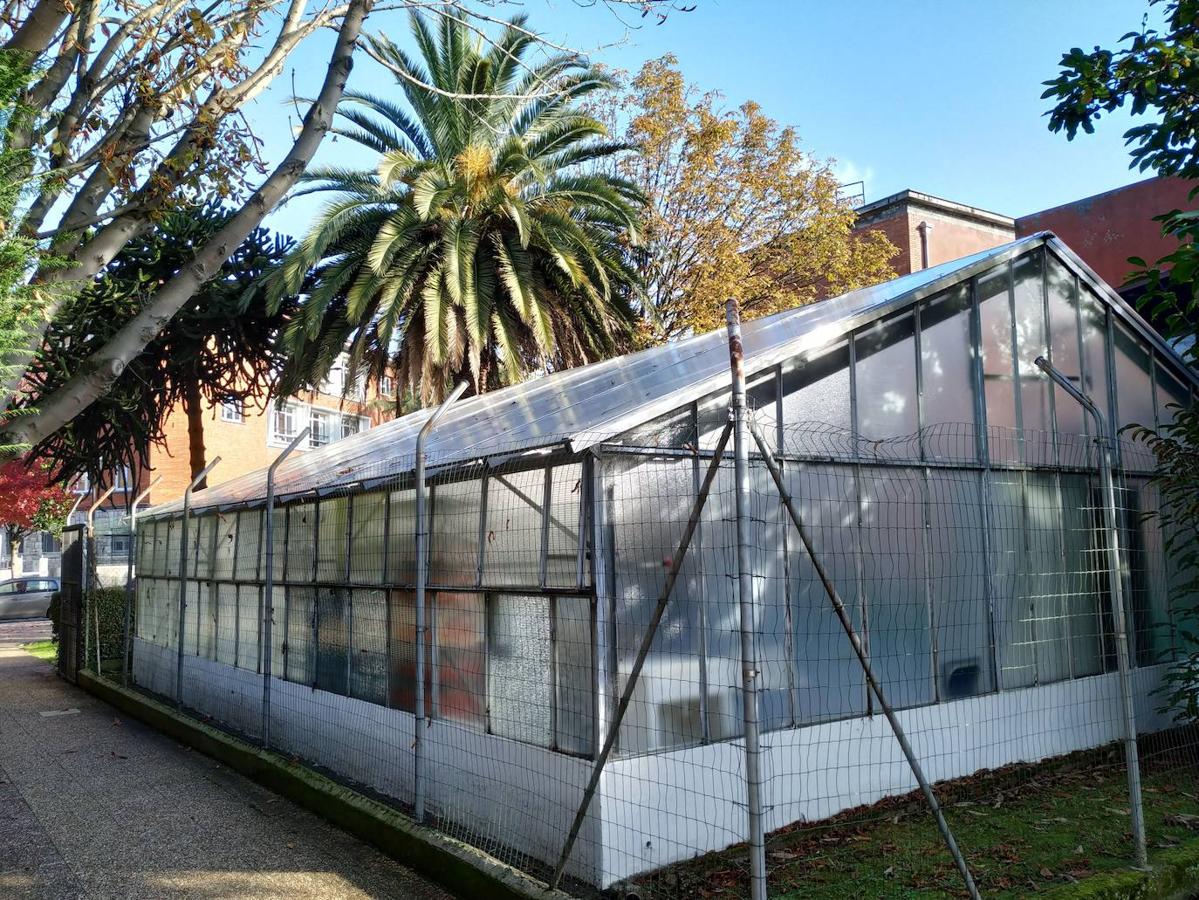 Este jardín es un excelente muestrario segmentado en pequeños espacios verdes personalizados por los árboles que los integran y por las muestras de estratos rocosos de los diferentes periodos de la historia geológica de Oviedo.