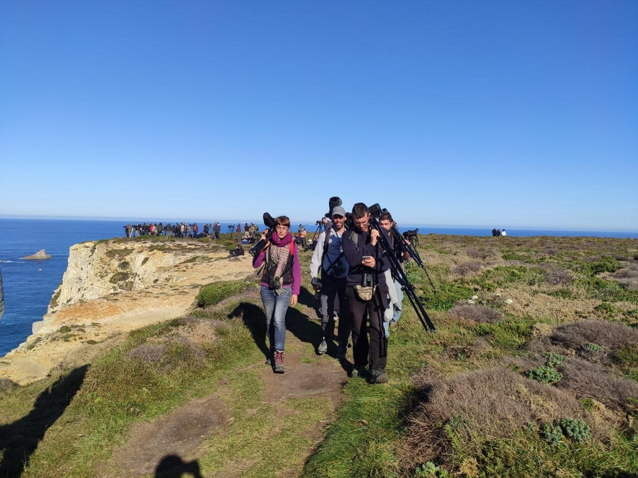Varios ornitólogos y aficionados cargan con sus telescopios y cámaras en el Cabo Peñas. 