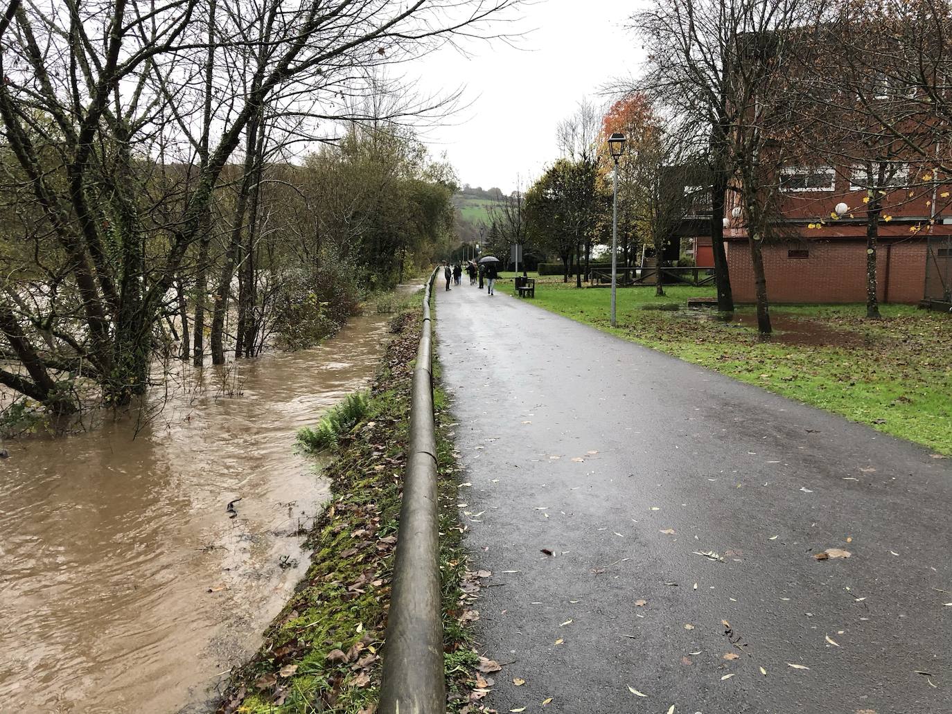 Las intensas lluvias y la nieve caída en los últimos días ha provocado importantes daños en buena parte de Asturias, principalmente en la zona oriental de la región donde, incluso, se ha tenido que evacuar a decenas de pacientes del hospital de Arriondas. Pero el agua también ha anegado otras áreas de Asturias 