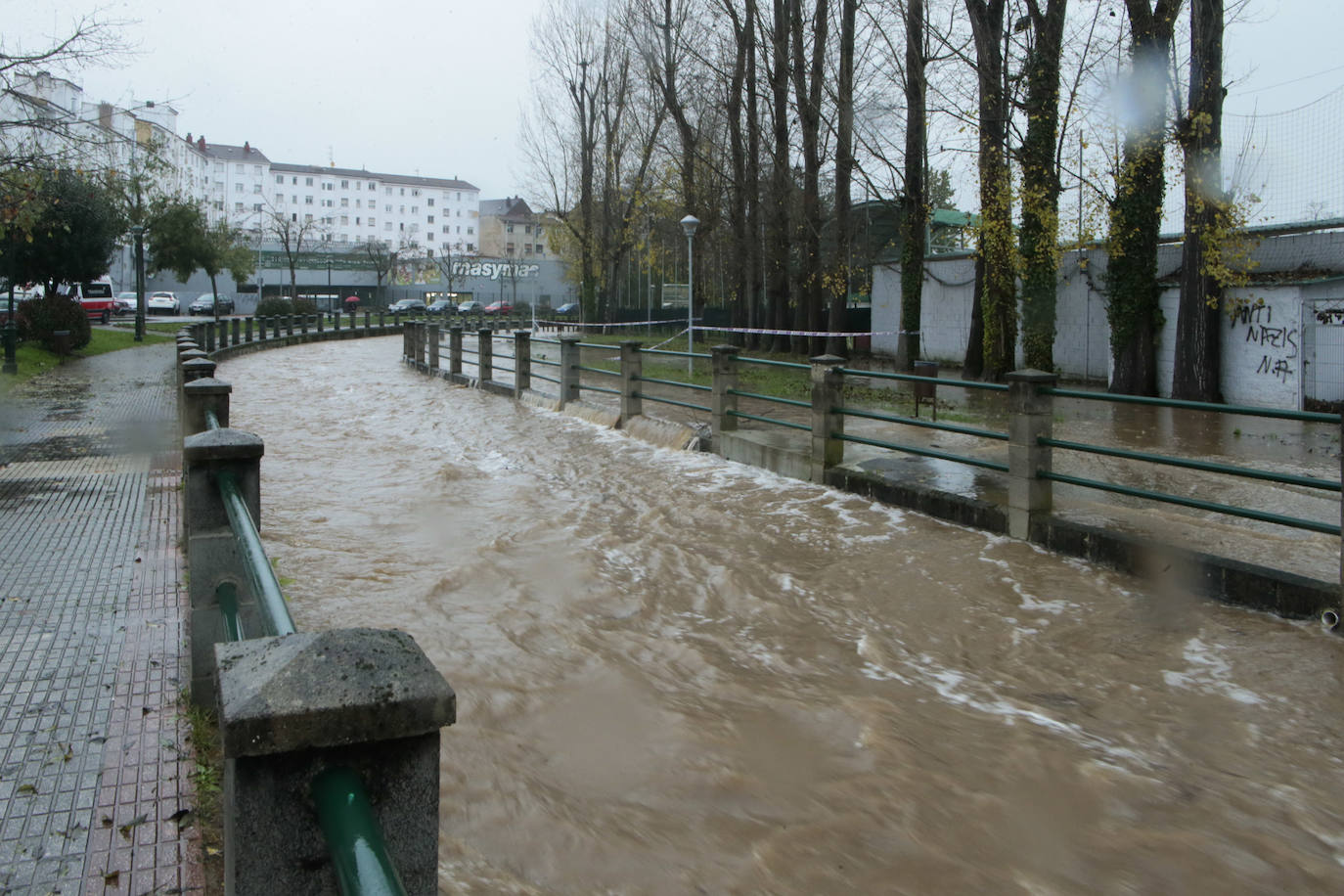 Las intensas lluvias y la nieve caída en los últimos días ha provocado importantes daños en buena parte de Asturias, principalmente en la zona oriental de la región donde, incluso, se ha tenido que evacuar a decenas de pacientes del hospital de Arriondas. Pero el agua también ha anegado otras áreas de Asturias 