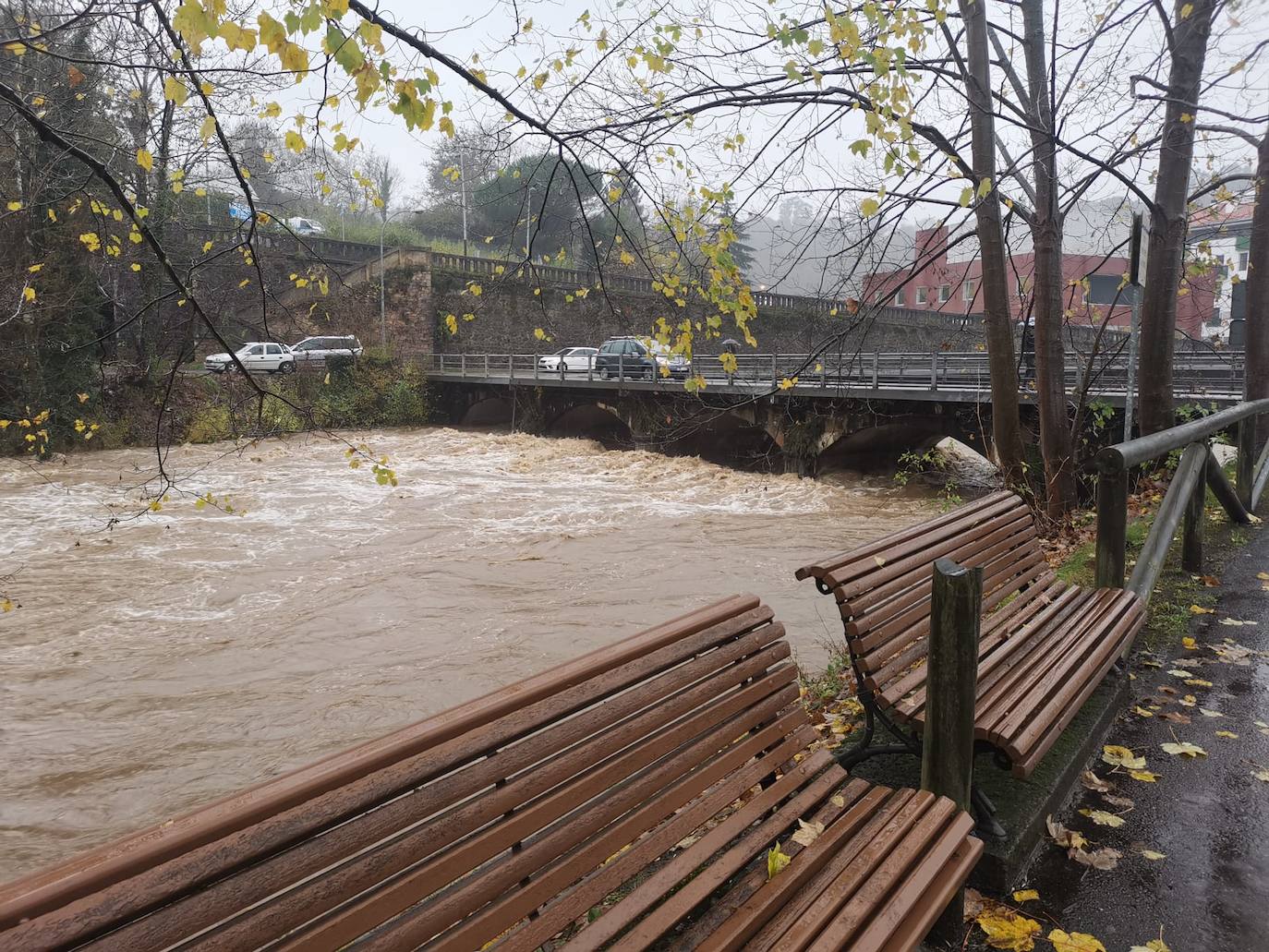 Las intensas lluvias y la nieve caída en los últimos días ha provocado importantes daños en buena parte de Asturias, principalmente en la zona oriental de la región donde, incluso, se ha tenido que evacuar a decenas de pacientes del hospital de Arriondas. Pero el agua también ha anegado otras áreas de Asturias 