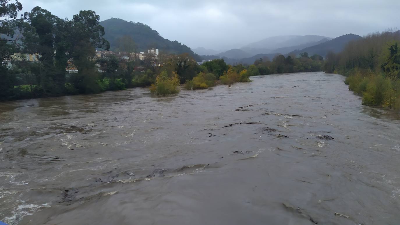 Las intensas lluvias y la nieve caída en los últimos días ha provocado importantes daños en buena parte de Asturias, principalmente en la zona oriental de la región donde, incluso, se ha tenido que evacuar a decenas de pacientes del hospital de Arriondas. Pero el agua también ha anegado otras áreas de Asturias 
