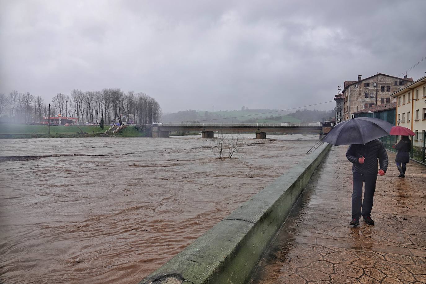 Las intensas lluvias y la nieve caída en los últimos días ha provocado importantes daños en buena parte de Asturias, principalmente en la zona oriental de la región donde, incluso, se ha tenido que evacuar a decenas de pacientes del hospital de Arriondas. Pero el agua también ha anegado otras áreas de Asturias 
