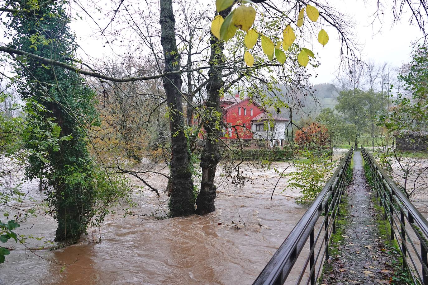 Las intensas lluvias y la nieve caída en los últimos días ha provocado importantes daños en buena parte de Asturias, principalmente en la zona oriental de la región donde, incluso, se ha tenido que evacuar a decenas de pacientes del hospital de Arriondas. Pero el agua también ha anegado otras áreas de Asturias 