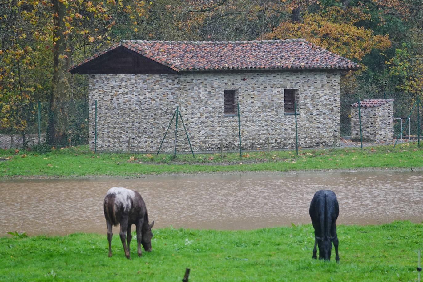 Las intensas lluvias y la nieve caída en los últimos días ha provocado importantes daños en buena parte de Asturias, principalmente en la zona oriental de la región donde, incluso, se ha tenido que evacuar a decenas de pacientes del hospital de Arriondas. Pero el agua también ha anegado otras áreas de Asturias 