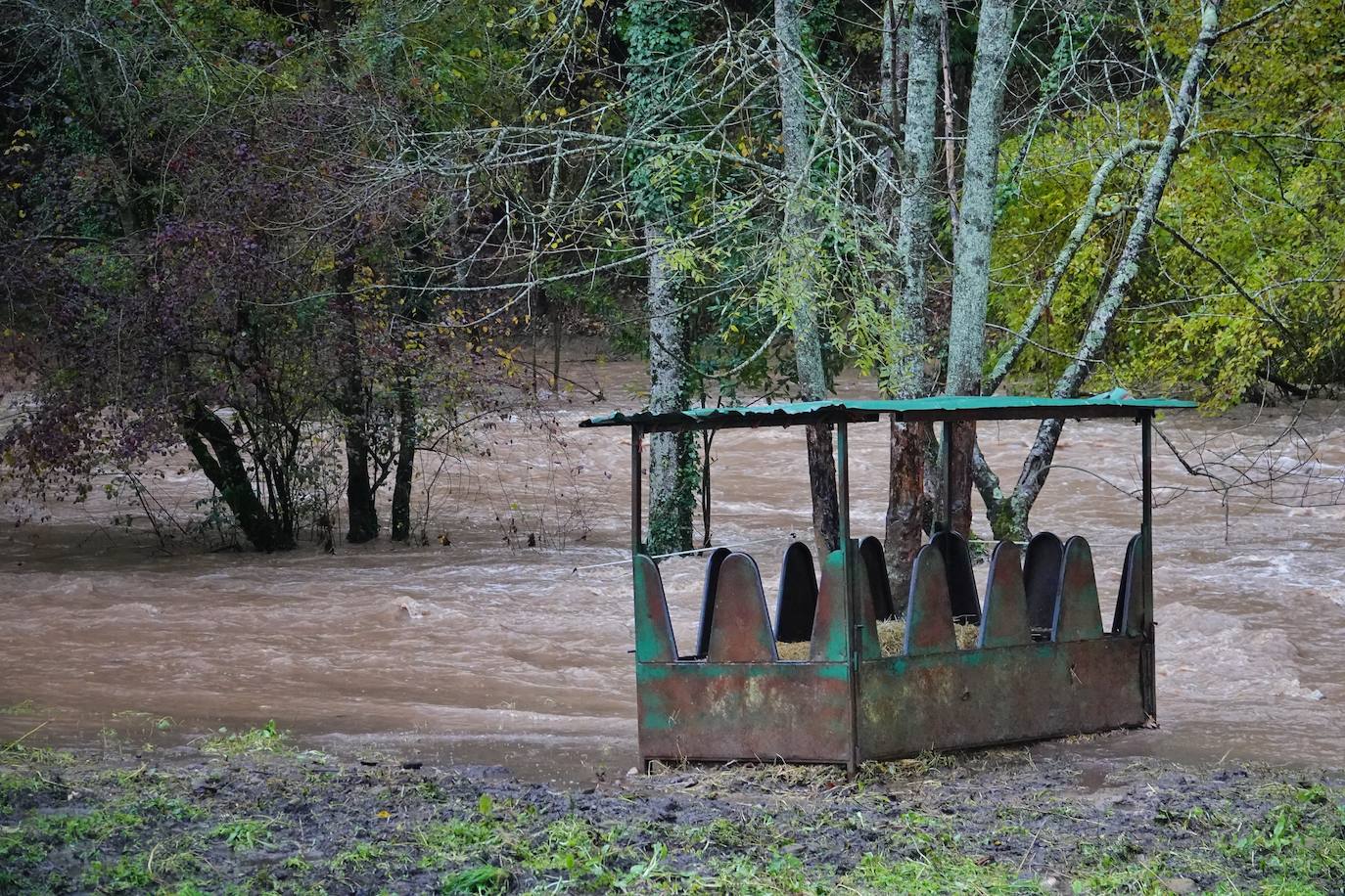 Las intensas lluvias y la nieve caída en los últimos días ha provocado importantes daños en buena parte de Asturias, principalmente en la zona oriental de la región donde, incluso, se ha tenido que evacuar a decenas de pacientes del hospital de Arriondas. Pero el agua también ha anegado otras áreas de Asturias 