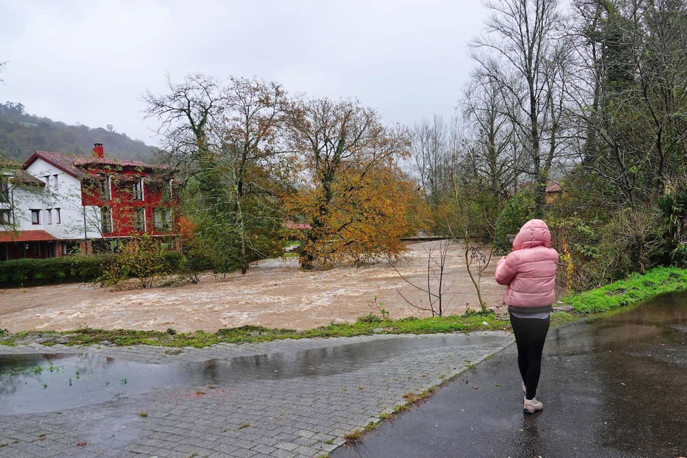 Las intensas lluvias y la nieve caída en los últimos días ha provocado importantes daños en buena parte de Asturias, principalmente en la zona oriental de la región donde, incluso, se ha tenido que evacuar a decenas de pacientes del hospital de Arriondas. Pero el agua también ha anegado otras áreas de Asturias 