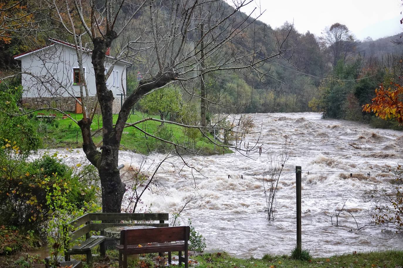 Las intensas lluvias y la nieve caída en los últimos días ha provocado importantes daños en buena parte de Asturias, principalmente en la zona oriental de la región donde, incluso, se ha tenido que evacuar a decenas de pacientes del hospital de Arriondas. Pero el agua también ha anegado otras áreas de Asturias 