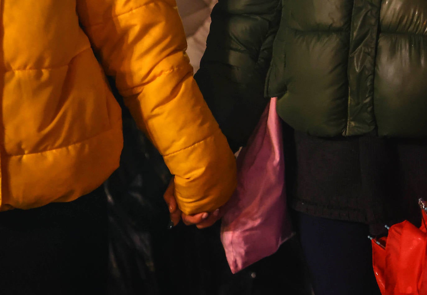 Oviedo acoge la gran manifestación del 25-N en la que más de seiscientas personas, unidas y bajo la lluvia, lanzan un grito de apoyo a las víctimas y reivindican el fin de la violencia machista. La marcha sirve también para poner de relieve el calvario de la violencia vicaria, es decir, el que emplean los agresores para hacer daño a las mujeres a través de sus hijos.