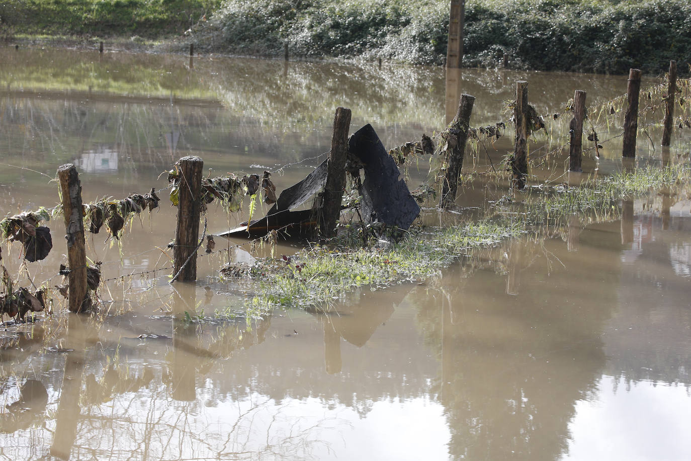 Los concejos afectados por las fuertes lluvias tratan de recuperarse de los estragos causados por el temporal. Con las treguas intermitentes que están concediendo las precipitaciones, bomberos y vecinos se afanan en limpiar los destrozos que el agua provocó en las últimas horas. En Arriondas, los esfuerzos se centran tanto en la zona escolar y el barrio de El Barco como en la deportiva, donde ha sido una mañana de limpieza y retirada del barro.