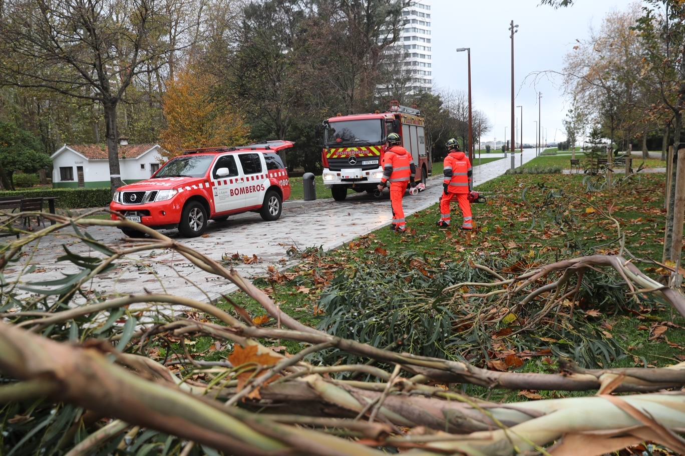 El temporal tira un árbol de 20 metros en Isabel la Católica y el alumbrado navideño de Aquilino Hurlé