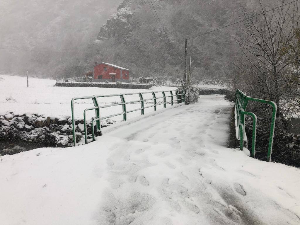 Fotos: El temporal cubre a Asturias de blanco