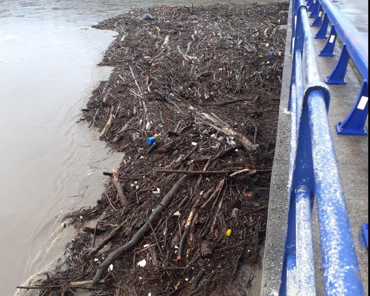 Troncos arrastrados por el río Nalón bajo el puente de la Portilla. 