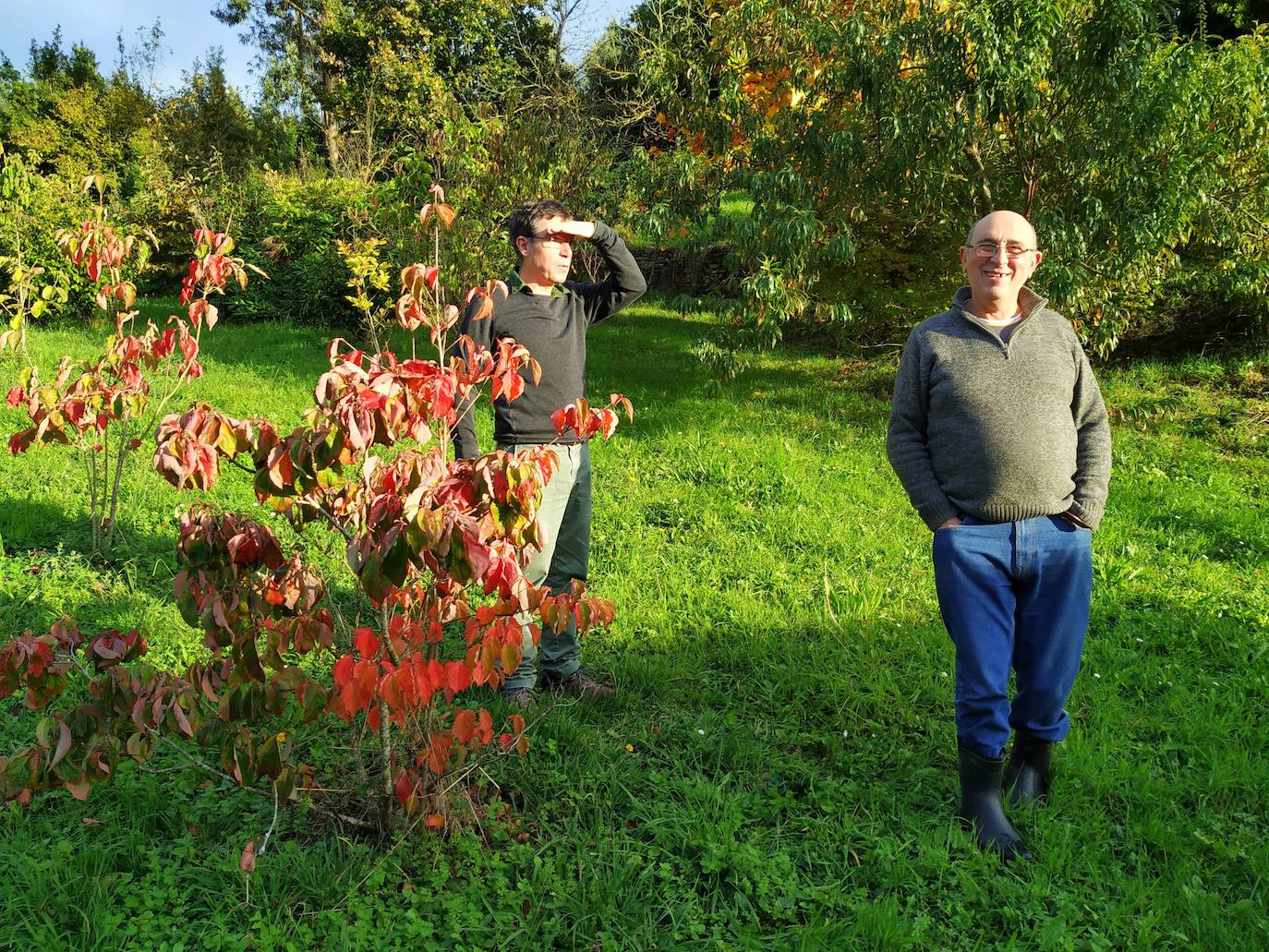 En el pueblecito de Santianes, en Pravia, a escasos metros de la iglesia prerrománica más antigua de Asturias, Marga y Pedro esconden un jardín idílico casi convertido en bosque. Allí atesoran la mayor colección de esta flor de Asturias. Tienen 600 variedades