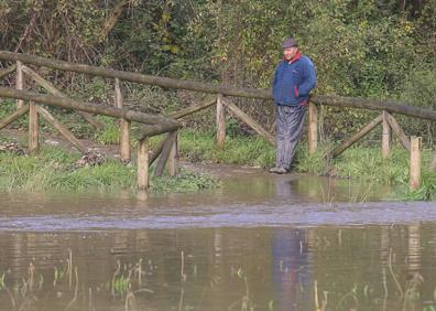 Imagen secundaria 1 - Temporal en Asturias: la Guardia Civil pide a los productores de Pravia que desalojen las vegas por riesgo de inundaciones