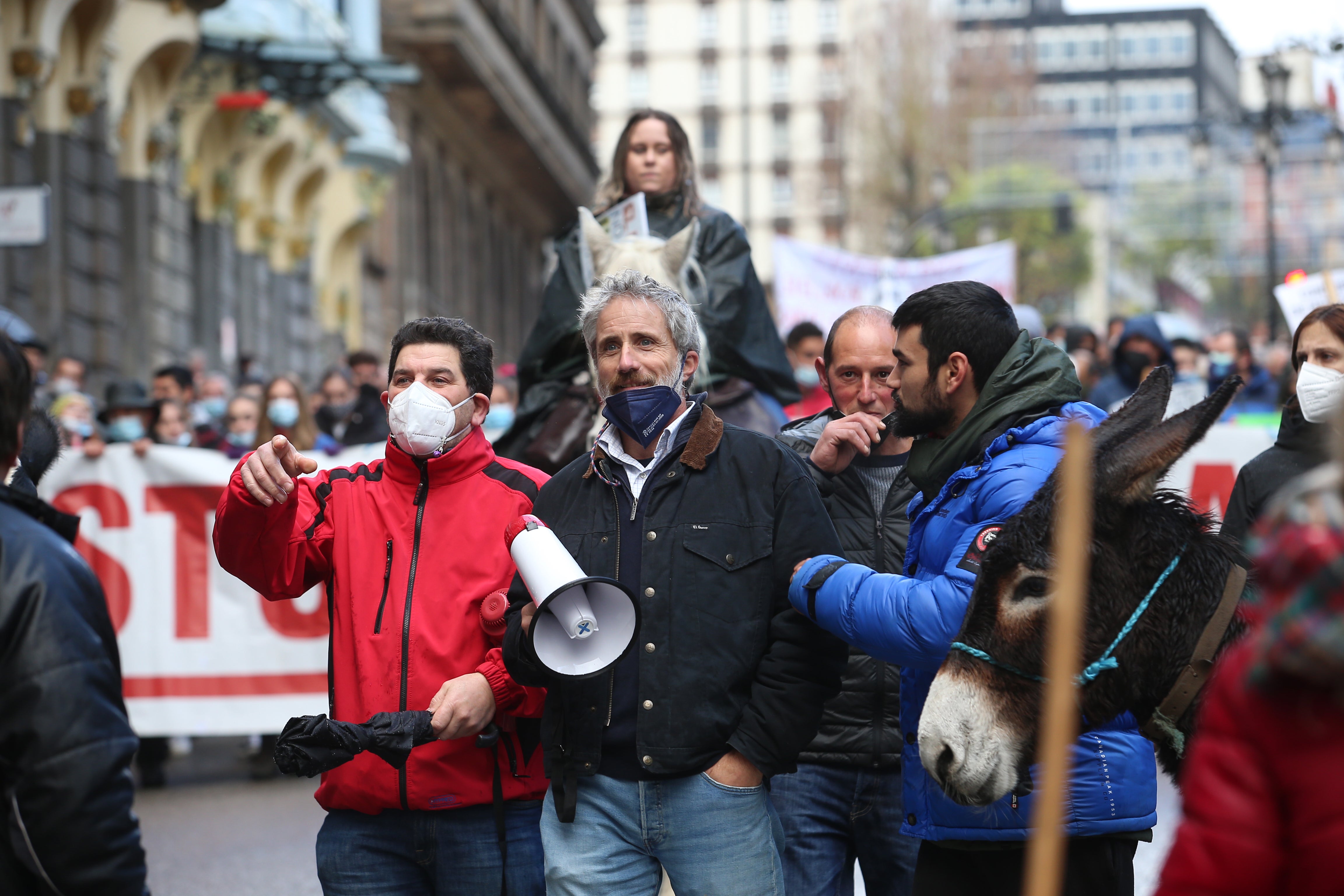 Fotos: El sector ganadero asturiano se manifiesta en Oviedo