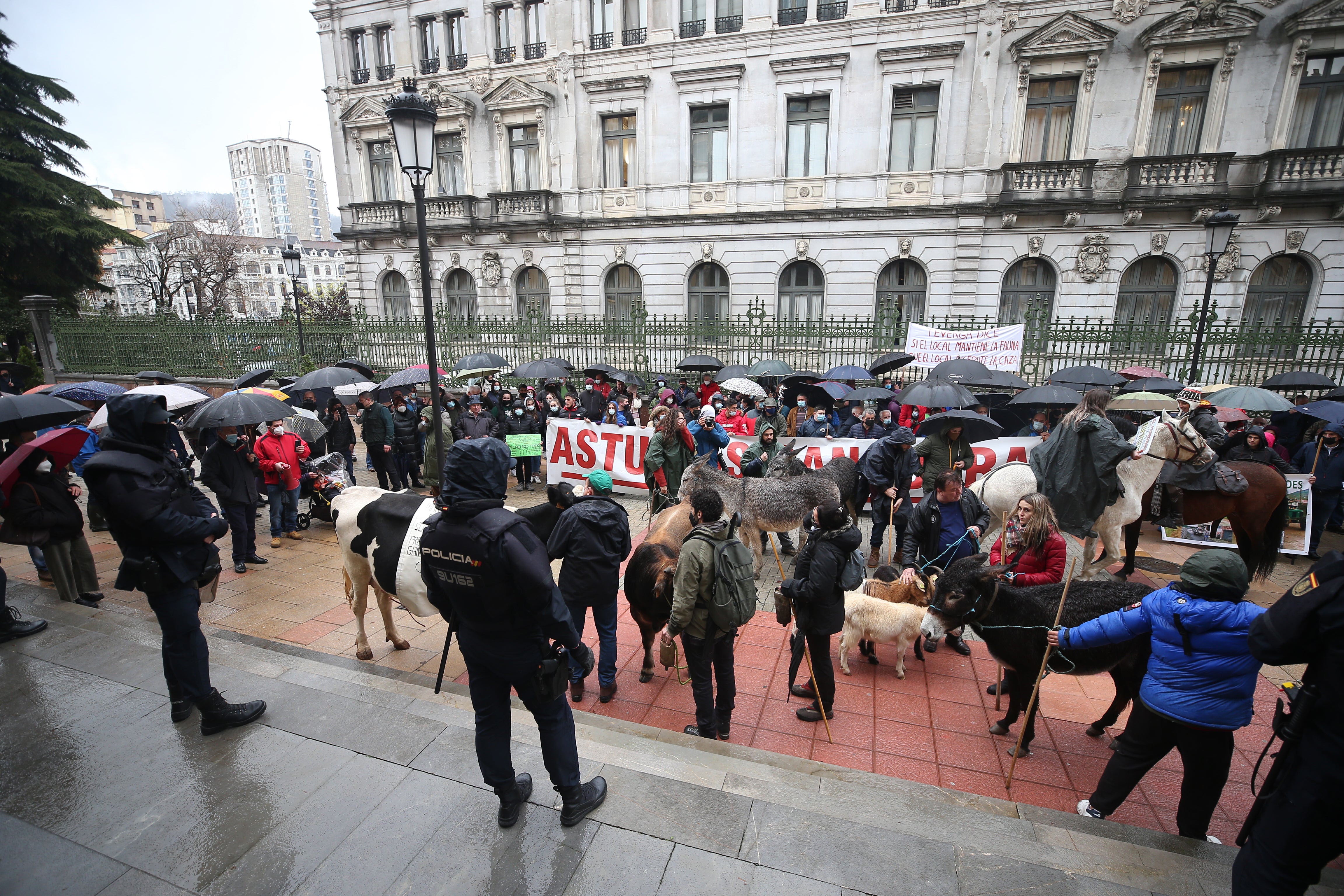 Fotos: El sector ganadero asturiano se manifiesta en Oviedo