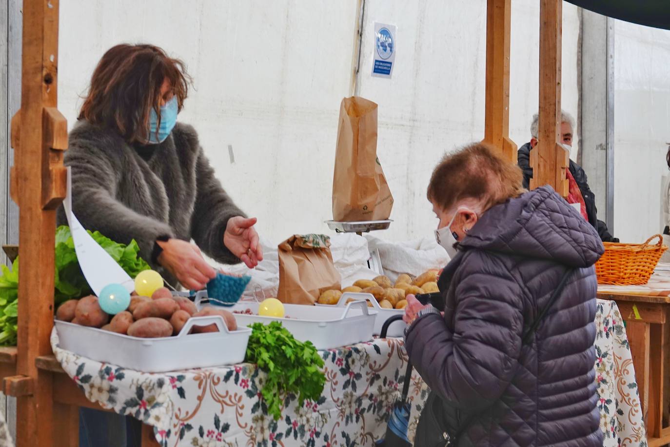 Fotos: Víctor Manuel anima la Feria de les Fabes de Colunga